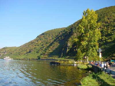 Herbsausfahrt Mosel 2002